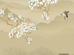 屬兔女本命年適合創業嗎好嗎,屬兔女本命年戴什么轉運