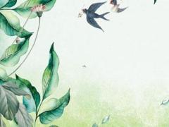 創(chuàng)業(yè)成功的女命八字 八字創(chuàng)業(yè)的命格