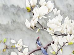 屬狗今年的財運 屬狗今年的財運在幾月份？