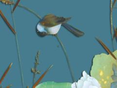 屬馬的人一生的運(yùn)勢(shì) 屬馬的人一生的運(yùn)勢(shì)是什么