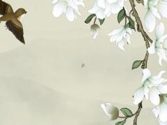 本命年兔男生轉(zhuǎn)運(yùn)珠怎么戴,屬兔的男人能在本命年結(jié)婚嗎