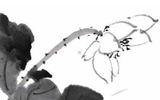 射手座6月30運勢如何 射手座6月23日運勢如何 射手座6月30運勢如何 射手座6月23日運勢如何