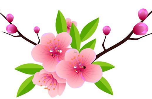 射手女考驗你的過程 射手女的冷淡就是在考驗你