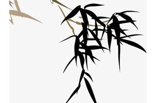 1969年屬雞男后半生的命運,1969年屬雞55歲災難