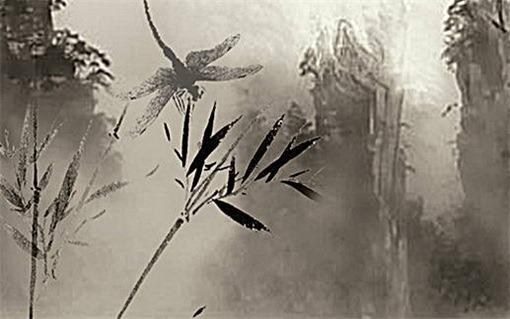 牛更佳配偶是什么屬相 牛最配對的生肖 牛更佳配偶是什么屬相 牛最配對的生肖