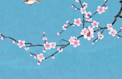 八字硬有什么壞處 八字硬的好處和壞處 八字硬有什么壞處 八字硬的好處和壞處