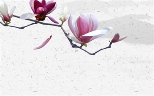 本命年兔送媽媽項鏈可以嗎,屬兔的本命年可以穿紅色嗎