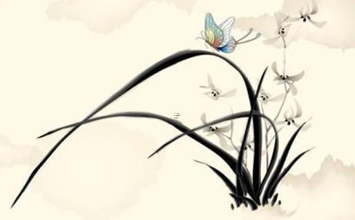 屬蛇出生年份及年齡是多少 屬蛇人的出生年 屬蛇出生年份及年齡是多少 屬蛇人的出生年