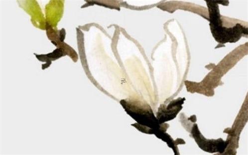 免費姓名測試打分最準 免費姓名測試打分最準五行筆畫格局 免費姓名測試打分最準 免費姓名測試打分最準五行筆畫格局