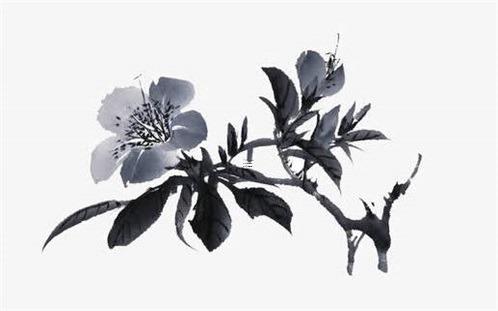 屬兔女孩本命年能結婚嗎,屬兔本命年可以懷孕嗎 屬兔女孩本命年能結婚嗎,屬兔本命年可以懷孕嗎