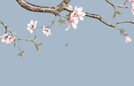 本命年可以帶本生肖的東西嗎,本命年能帶自己的生肖飾品嗎 本命年可以帶本生肖的東西嗎,本命年能帶自己的生肖飾品嗎