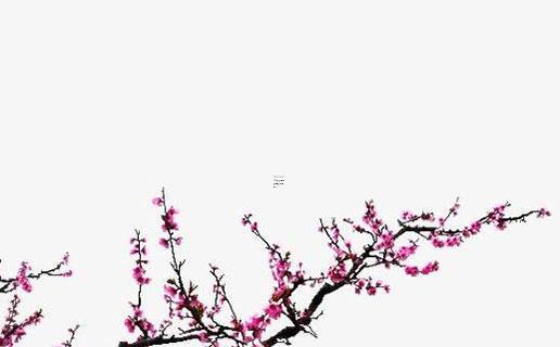 2025年3月搬家黃道吉日查詢 適宜搬家日期選擇建議 2025年3月搬家黃道吉日查詢 適宜搬家日期選擇建議