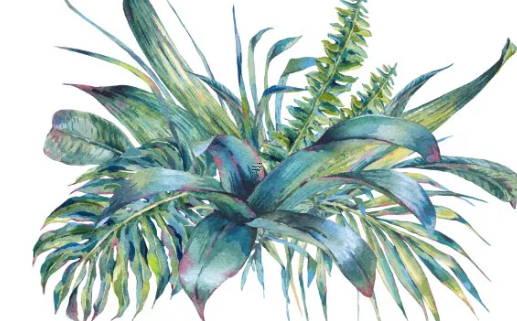 女人懷孕的最佳時間是什么時間 懷孕一個月怎么打掉最安全 女人懷孕的最佳時間是什么時間 懷孕一個月怎么打掉最安全