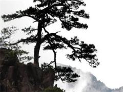 2025年3月祭祀日子精選速查表 2025年3月9日祭祀吉時(shí)是幾點(diǎn)