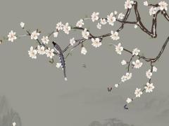 批八字命里沒有孩子能破解嗎 八字沒有女兒命怎么辦