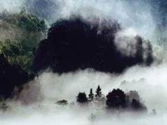 女屬龍和男屬龍好不好 女屬龍和屬龍男怎么樣