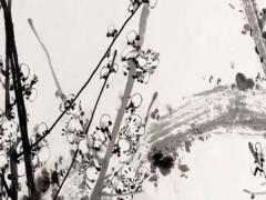 你眼中的白羊座有什么特質(zhì) 別人眼中的白羊座