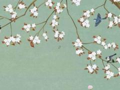 屬虎屬兔人本命年能結婚嗎女,屬虎屬兔人本命年能結婚嗎女性