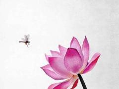 2025年3月買車吉日查詢什么時間最佳 2025年3月最佳提車日子一覽表