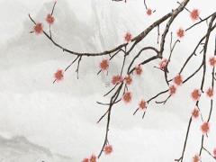 本命佛的功效和作用文殊菩薩的功效,本命佛文殊菩薩圖像