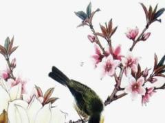 避開沖馬2025年3月納畜吉日注意事項 2025黃道吉日一覽表