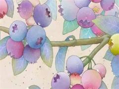 1991年是金羊還是土羊 1991年是金羊還是土羊啥意思