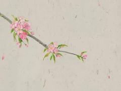 社會(huì)磕短句八字帶名字 社會(huì)磕經(jīng)典語(yǔ)錄