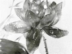 屬馬的今年多大年齡 1954年屬馬的今年多大年齡