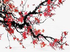 屬狗的今年多大了都是哪一年的 屬狗的今年多大的多少歲了