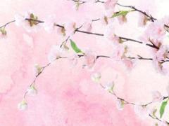 虎和兔本命年可以結(jié)婚嗎女孩,屬虎和屬兔本命年可以結(jié)婚嗎