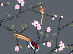 本命年帶金剛菩提好嗎,本命年可以戴金剛結(jié)么