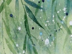 屬牛女73年命中注定的丈夫,73年屬牛女后半生婚姻