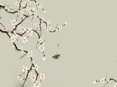 避開破蛇2025年3月拆房吉日吉兇預(yù)測 2025年拆房修房吉日