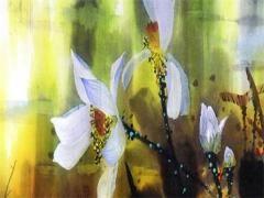 避開害虎2025年3月提車吉日吉兇預測 生肖虎的2025年2月提車吉日