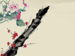 避開沖豬2025年3月移徙吉日時(shí)辰吉兇 2025年3月3日每個(gè)時(shí)辰的沖煞