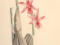 八字過弱喜神是水應該忌什么 八字過弱喜神是水是什么意思