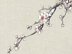 2024年3月是什么月,2024年3月出生