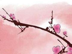 屬兔的人有哪些年份 屬兔的幾個(gè)年份