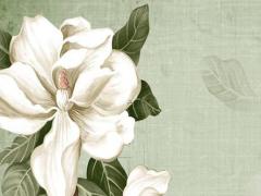 八字閥什么時候換 八字閥怎么換閥芯