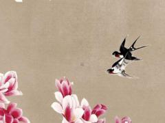 屬兔本命年能戴貔貅嗎女人,屬兔的本命年戴什么好