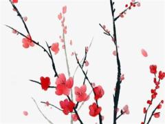 屬狗的今年多大歲數哪一年生 屬狗的今年是多大年齡