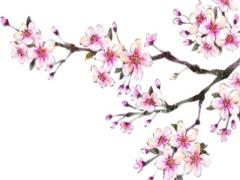 2025年3月生子黃道吉日全面查詢