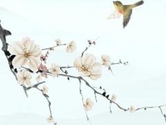 算命的說行大運是什么意思 行大運是好還是不好