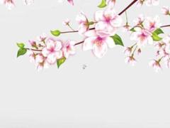 生肖屬龍2025年3月嫁娶日子精選 生肖龍2025年兩喜纏身