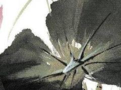 屬馬的7月運勢如何 屬馬的7月份運勢