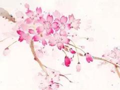 2025年三月十三的良辰吉日有哪些