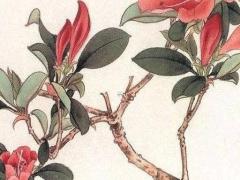 本命年兔三合生肖是什么呢,本命年兔年