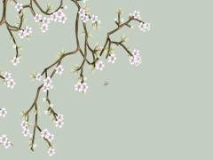 12生肖算命婚姻配對鼠和鼠 鼠和十二生肖