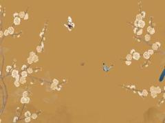 龍女配兔男三合本命年怎么樣,龍女和兔男合適嗎