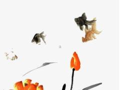 免費測試塔羅牌性格準嗎 免費塔羅牌測試塔羅測試app